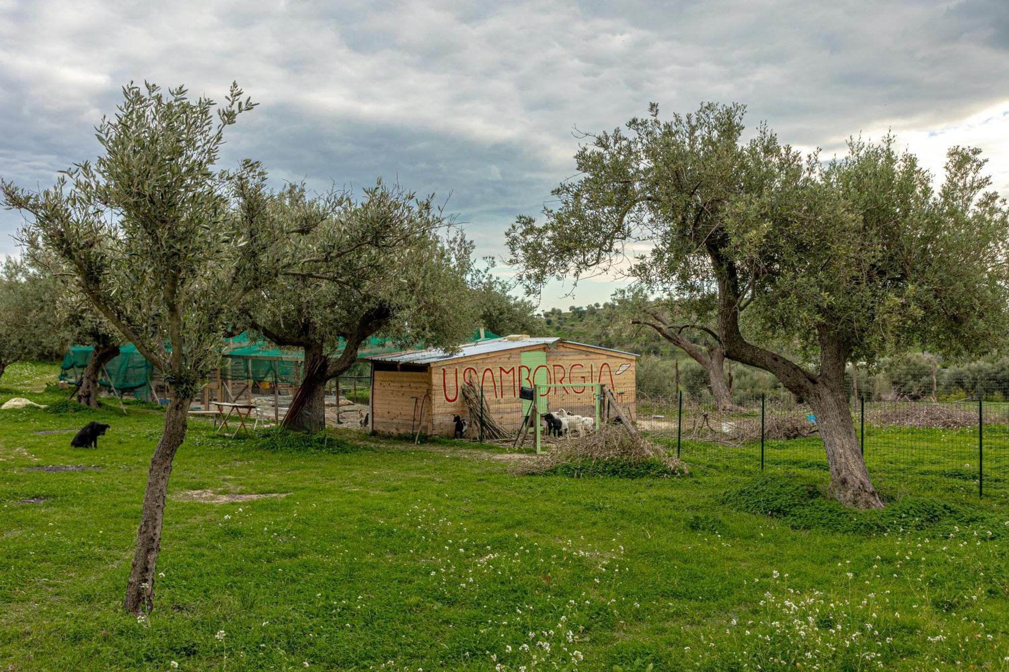 Masseria Usamborgia Noto Eksteriør bilde