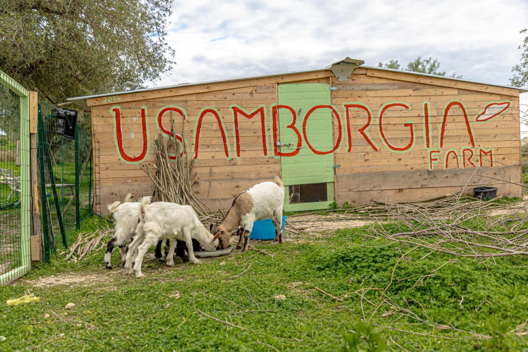 Masseria Usamborgia Noto Eksteriør bilde